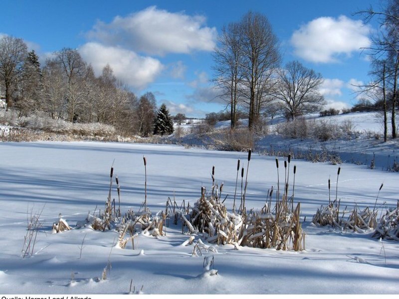 Sport& Wellnesshotel Harzer Land Haus Braunschweig & Haus Gotha 7