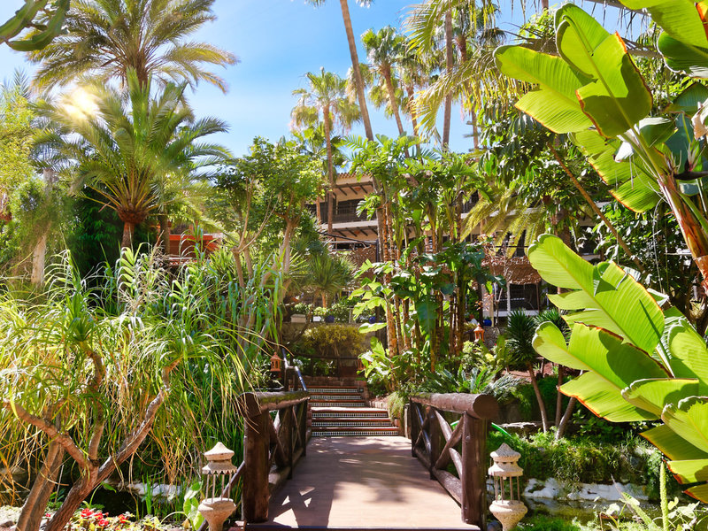 Parque Tropical 16