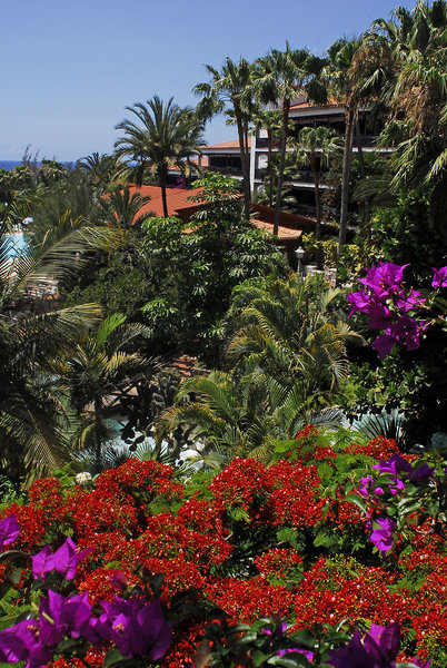 Parque Tropical 22