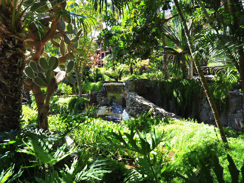 Parque Tropical 24