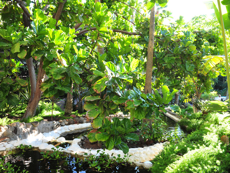 Parque Tropical 26