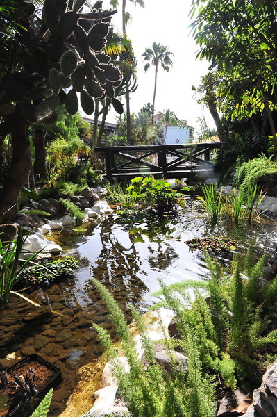 Parque Tropical 27