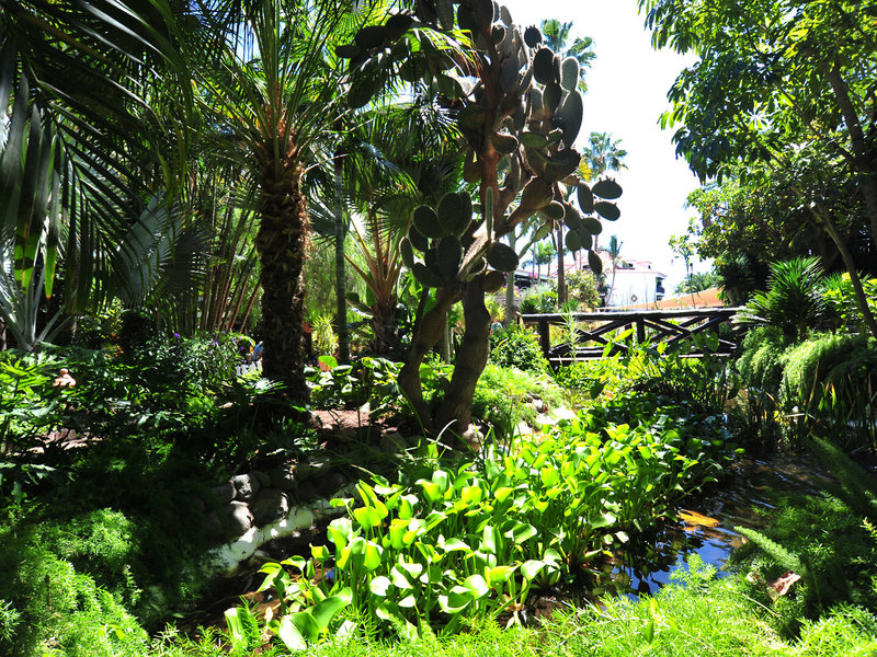 Parque Tropical 28