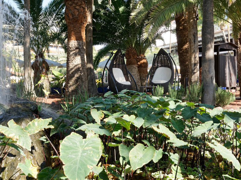 Parque Tropical 30