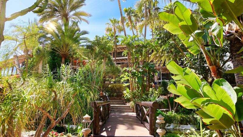 Hotel Parque Tropical 9