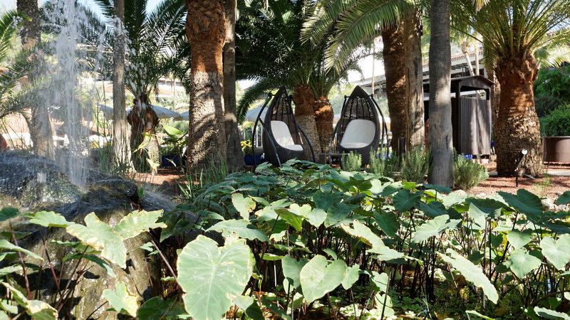 Hotel Parque Tropical 10
