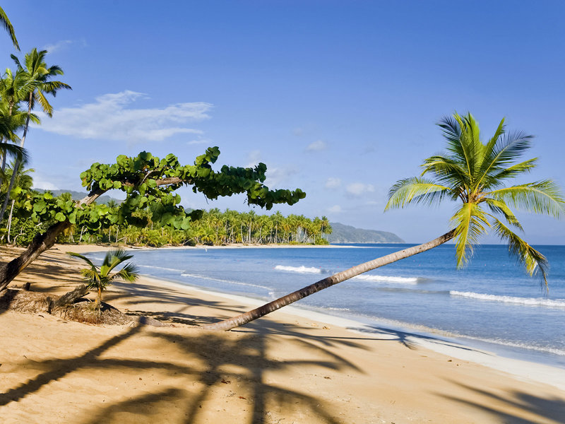 Viva Wyndham V Samana - Erwachsenenhotel 3