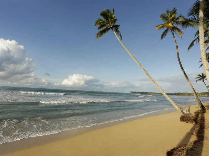 Viva Wyndham V Samana - Erwachsenenhotel 4