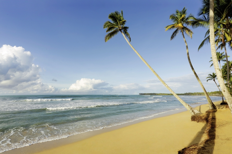 Viva Wyndham V Samana - Erwachsenenhotel 3