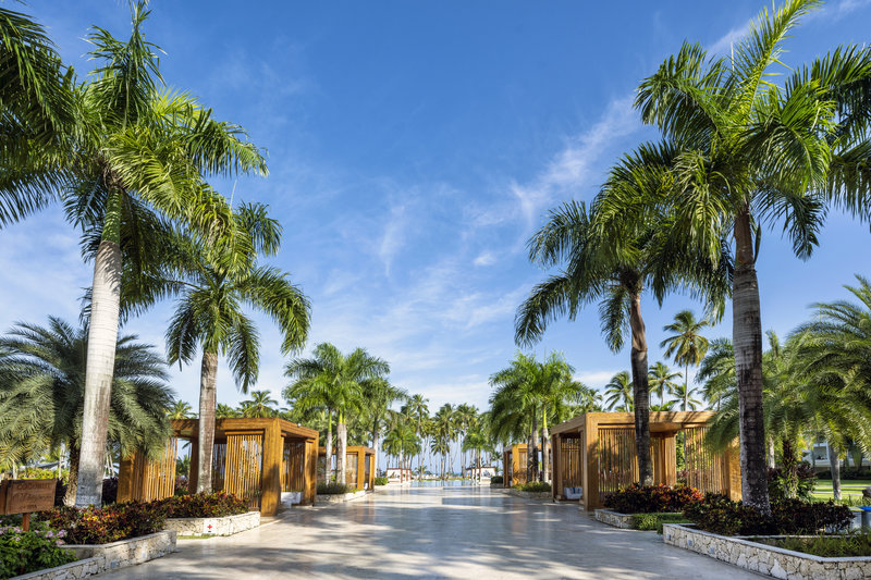 Viva V Samana by Wyndham, A Trademark Adults All Inclusive 15