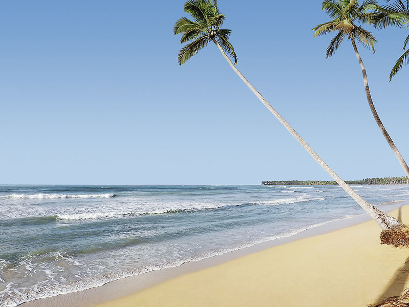 Viva V Samana by Wyndham, A Trademark Adults All Inclusive 10