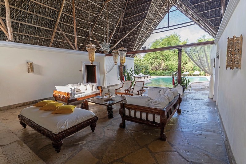 Lion in the Sun - a Billionaire Retreat 6