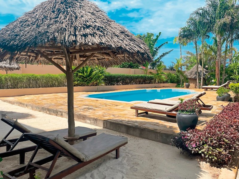 Lion in the Sun - a Billionaire Retreat 2