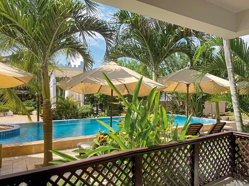 Lion in the Sun - a Billionaire Retreat 3