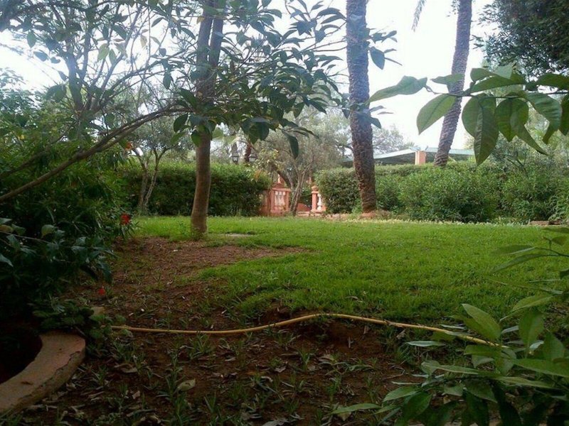 In Club Palmeraie Resorts 3