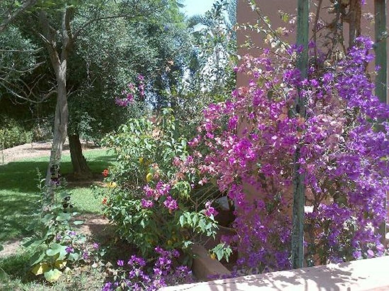 In Club Palmeraie Resorts 5