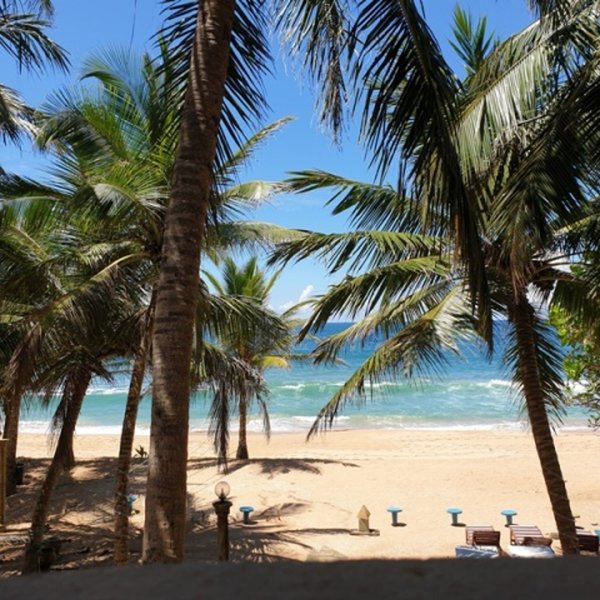 Oasey Beach Hotel 25