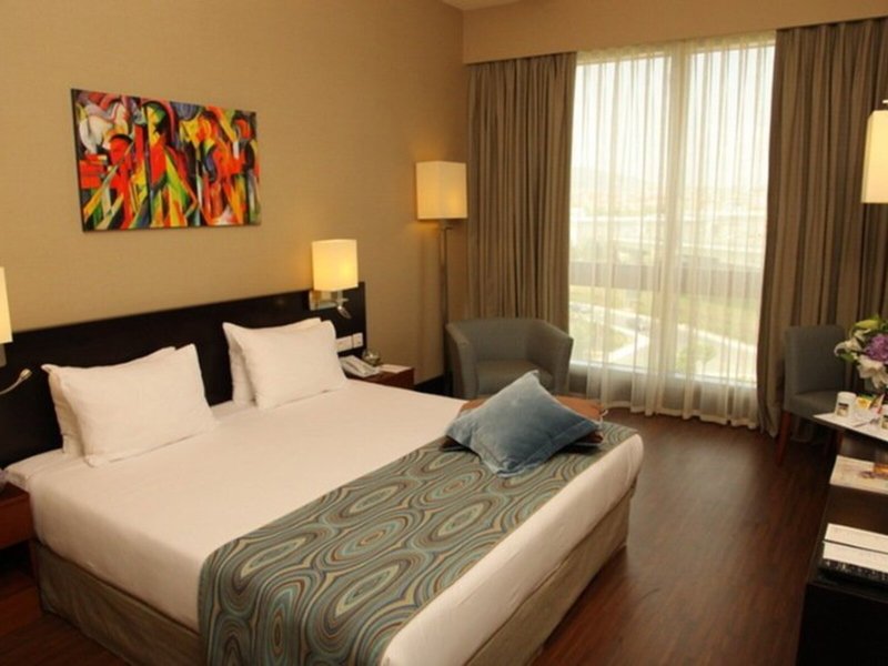 Istanbul Sabiha Gökcen Airport Hotel 30