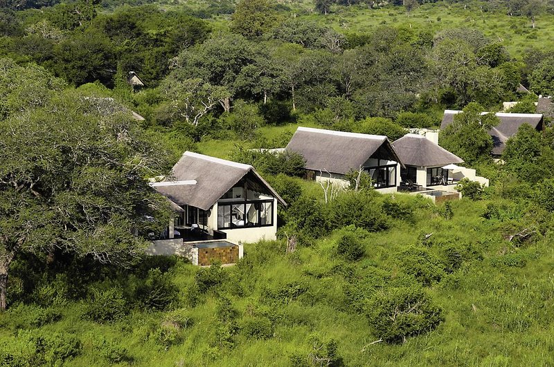 Lion Sands Game Reserve 13