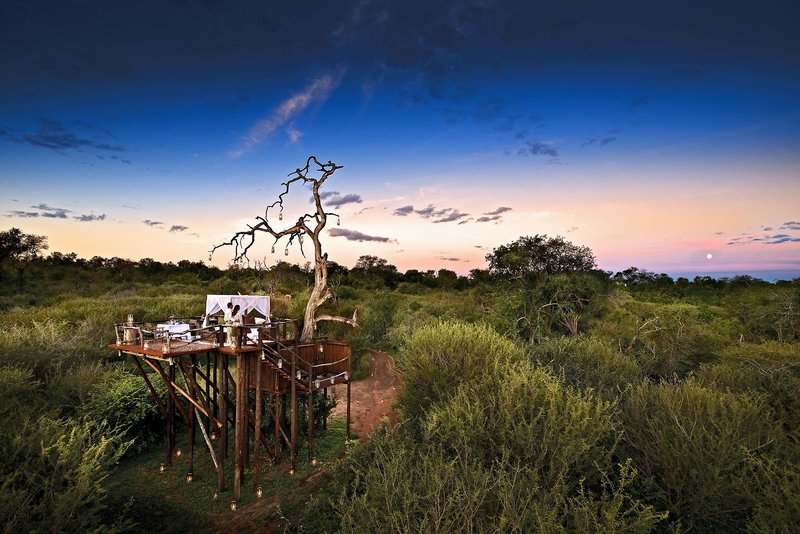Lion Sands Game Reserve 20