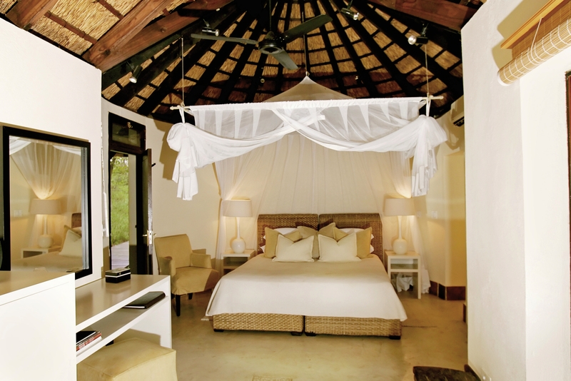 Lion Sands Game Reserve 38