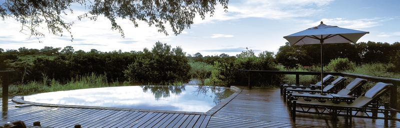 Lion Sands Game Reserve 41