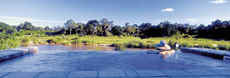 Lion Sands Game Reserve 42