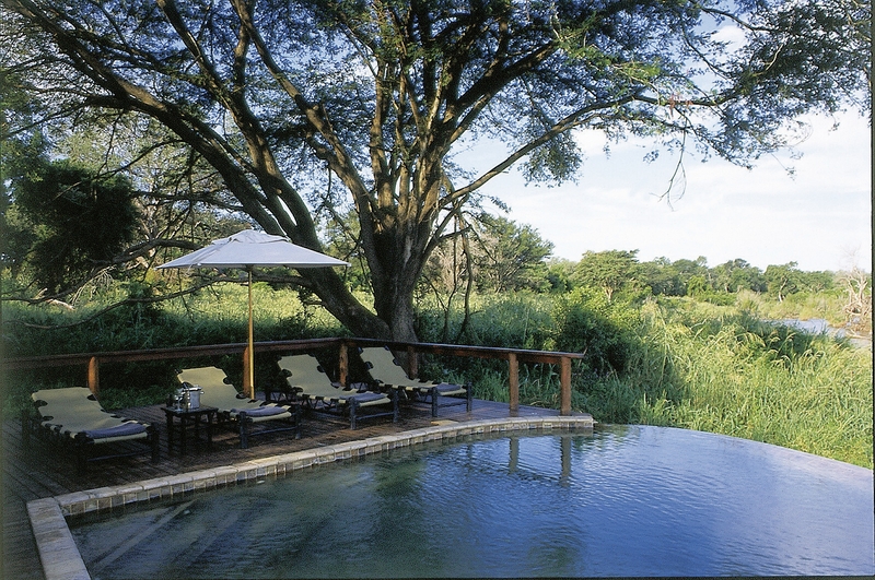 Lion Sands Game Reserve 46