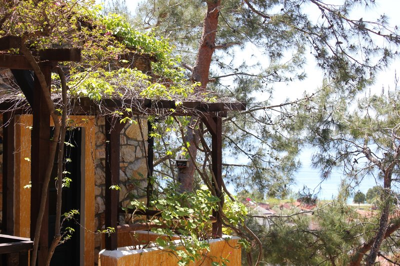 Symbola Oludeniz Beach 6