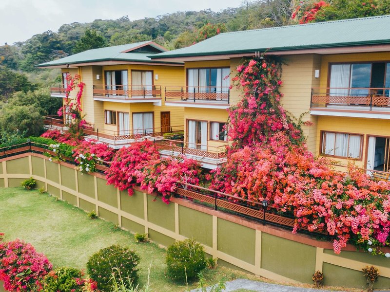 Ficus Sunset Suites