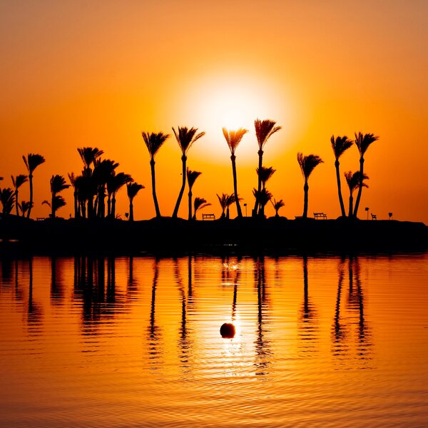 Continental Hotel Hurghada 75