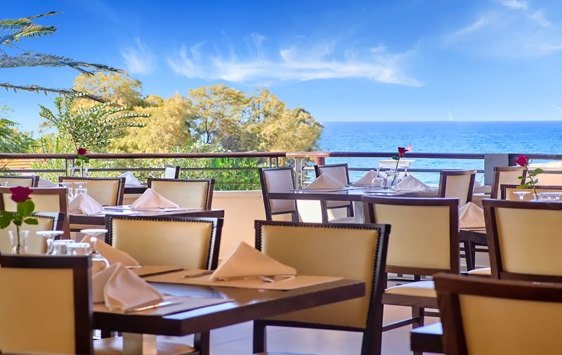 Creta Palm 15