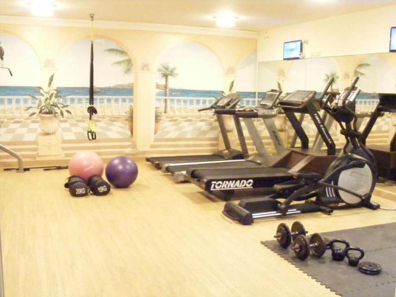 Creta Palm 23
