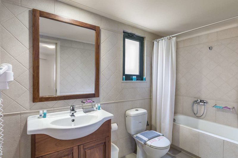 Creta Palm 15