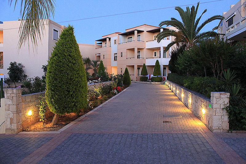 Creta Palm 19