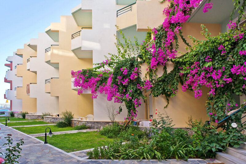 Dedalos Beach Hotel 2