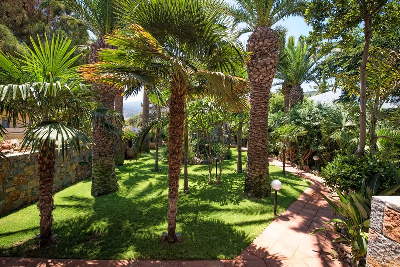 Villa Sonia 6