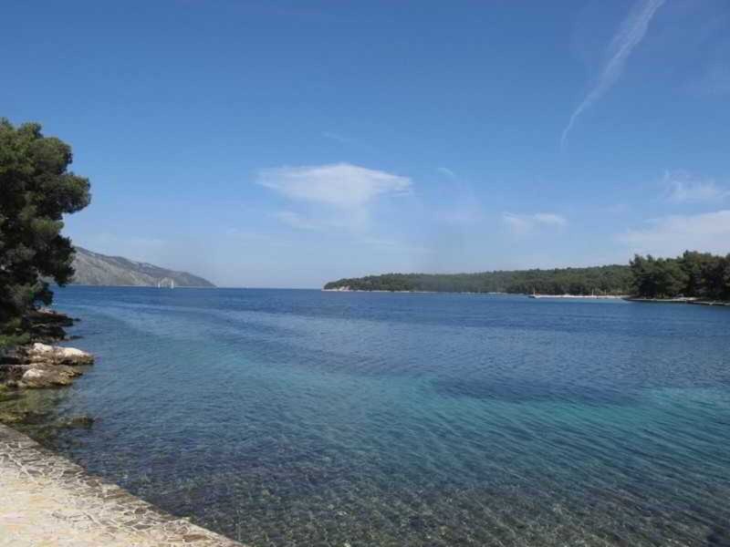 Apartments Mia 6 - Landscape