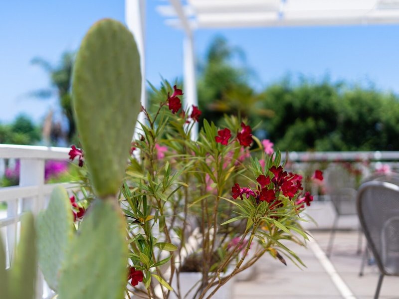 Le Dune Beach Club 6 - Landscape