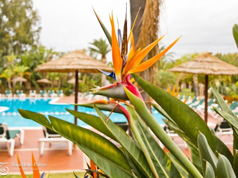 Baia Delle Palme 20
