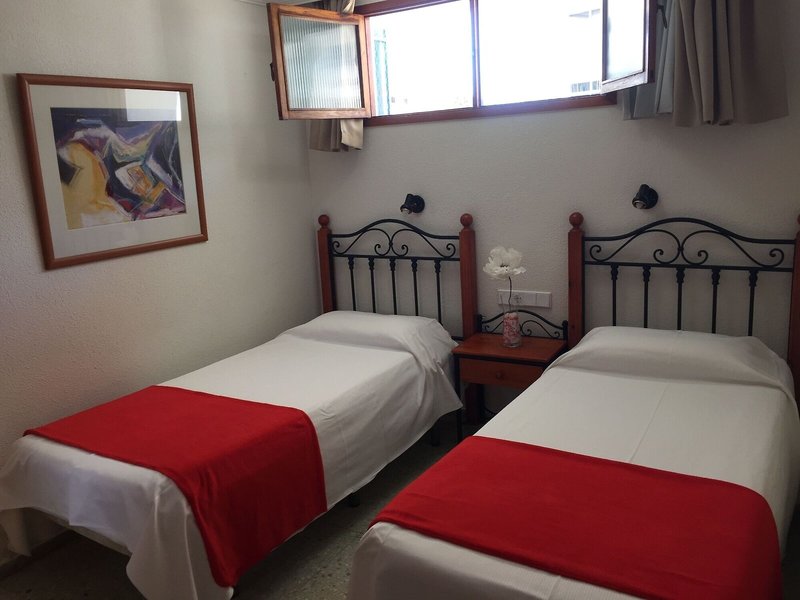 Amazonas 33