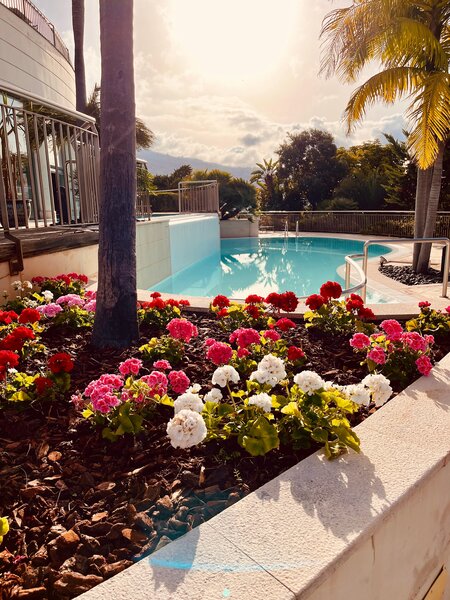 Quinta Funchal Gardens - Adults Only 5