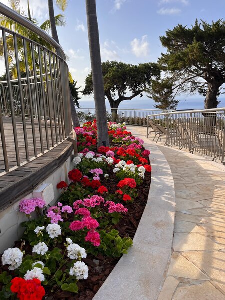 Quinta Funchal Gardens - Adults Only 21