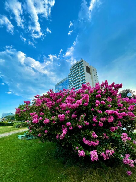 International Hotel Casino & Tower Suites 22