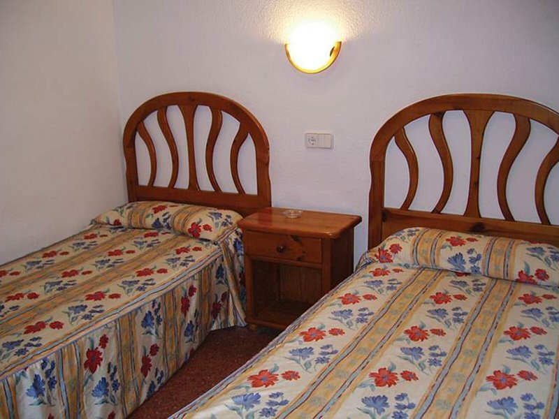 Iris Bahia Dorada 12