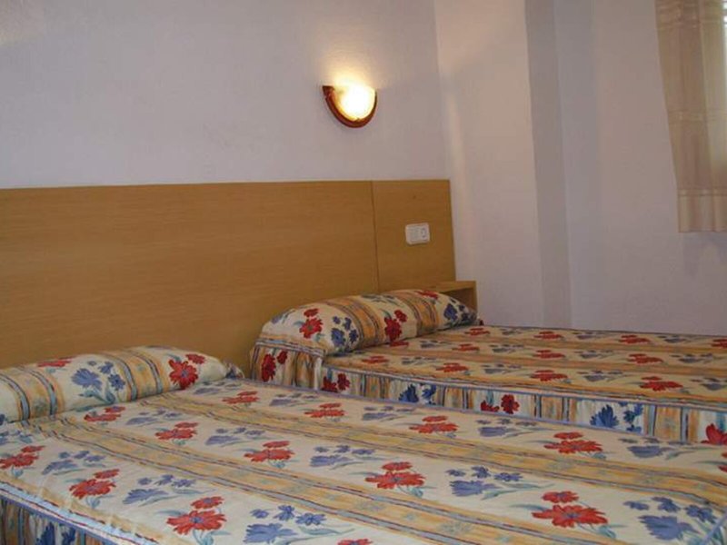 Iris Bahia Dorada 14