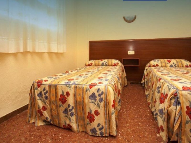 Iris Bahia Dorada 16