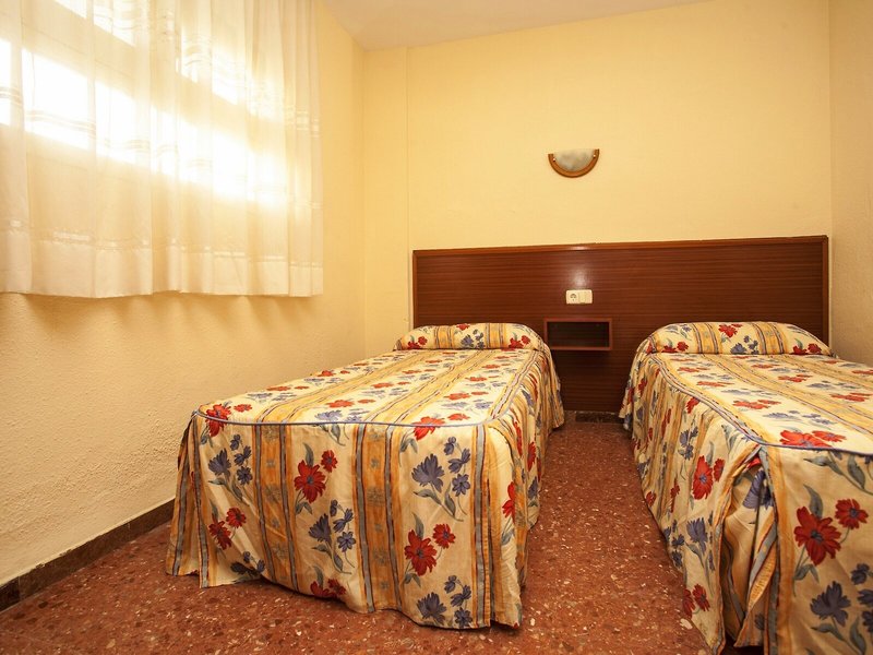 Iris Bahia Dorada 18