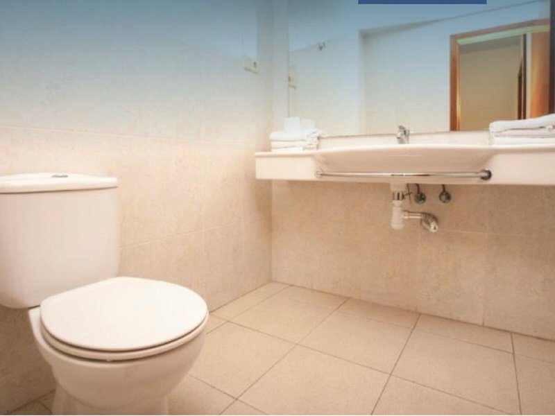 Iris Bahia Dorada 20