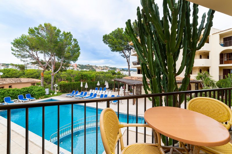 Apartamentos Delfin Casa Vida 9